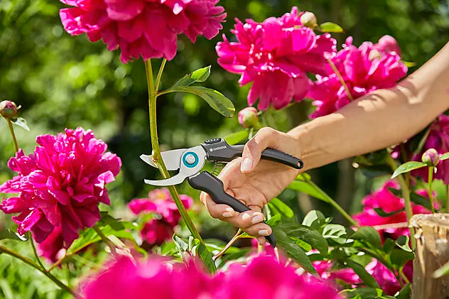 BESKJÆRINGSSAKS ECOLINE