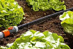 SVETTESLANGE 15 METER