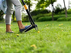 UGRESSFJERNER WEEDER XACT